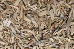 biomass boilers Almington